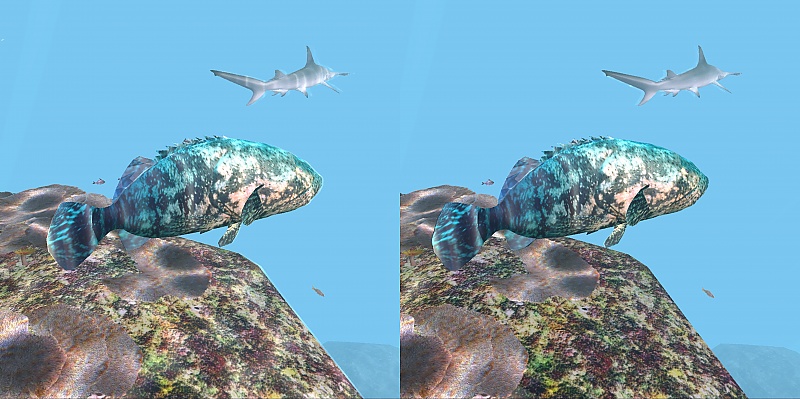 Diving 2008 VR